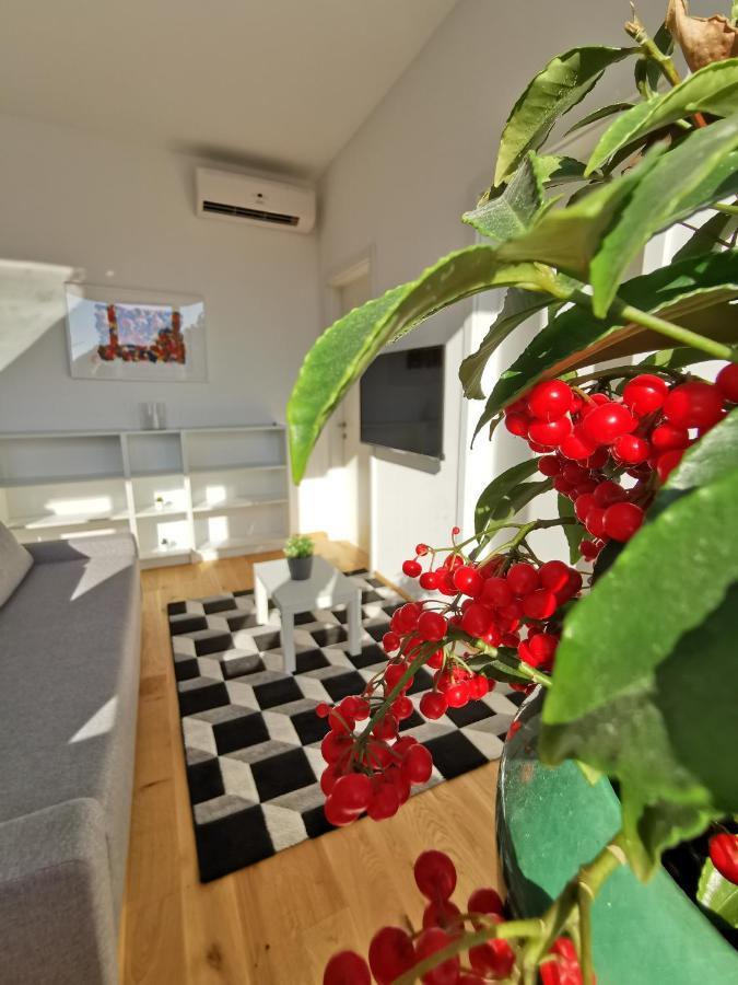 Apartmaji Egis Koper Buitenkant foto