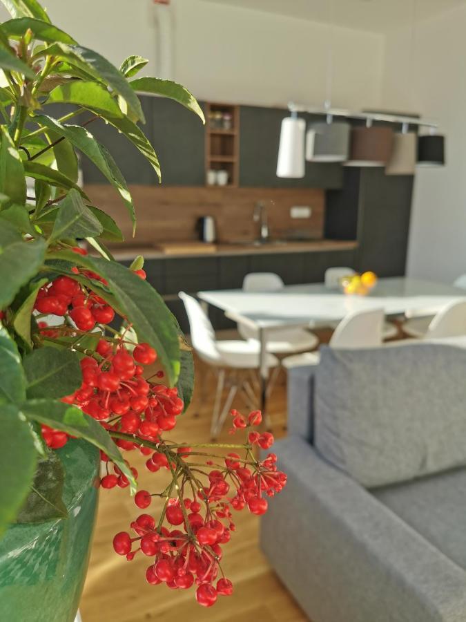 Apartmaji Egis Koper Buitenkant foto